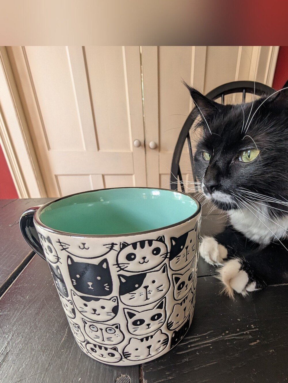 Spectrum Designz 2023 Cranston Black White Cat Mug Teal Interior 18 oz Feline